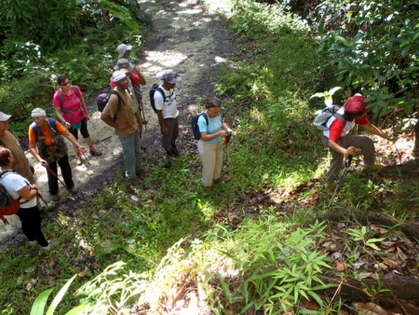 montée variante guyonneau lamentin Guadeloupe