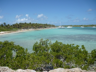 plage petite terre