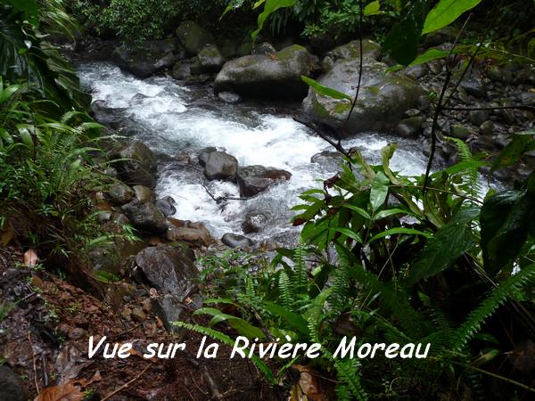 rivière moreau L